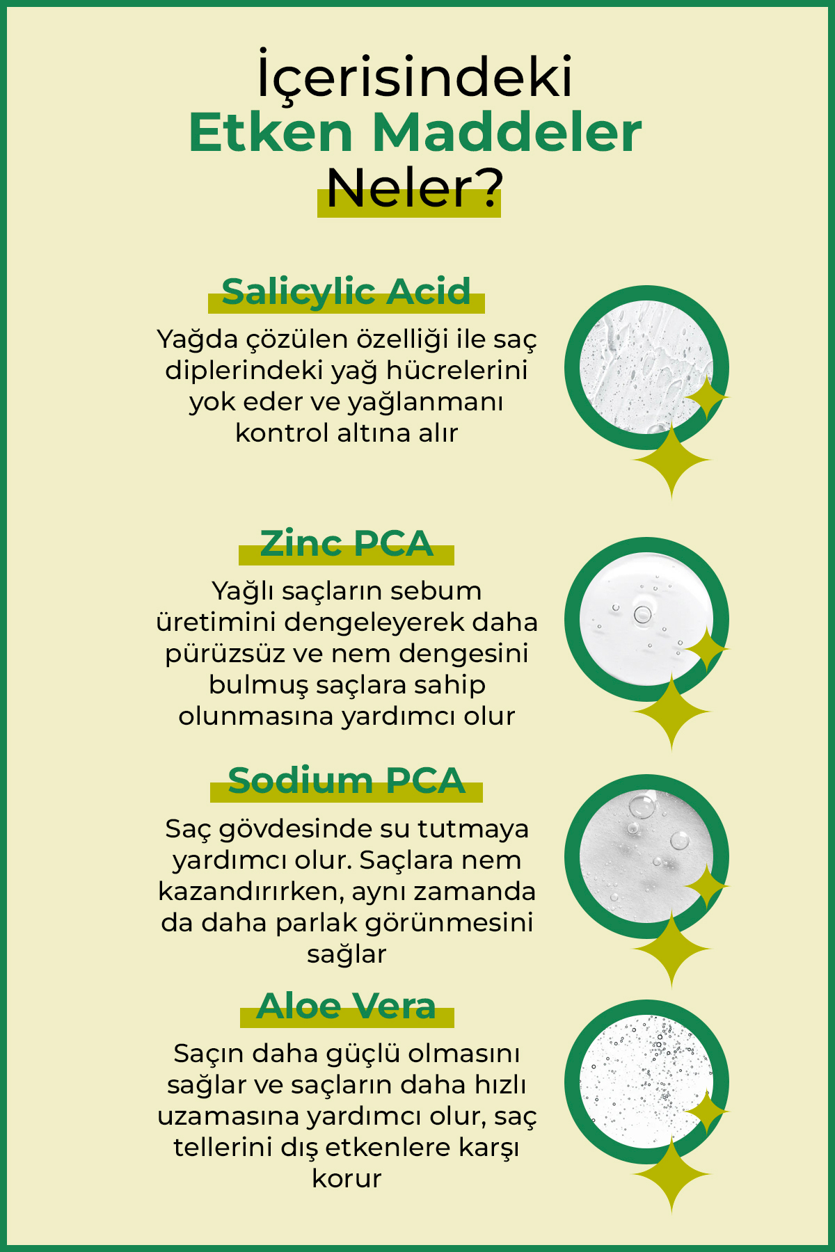 Yağlı saç derisi ve Yağlı saçlar için Saç Bakım Şampuanı 400 ml (2 Adet)