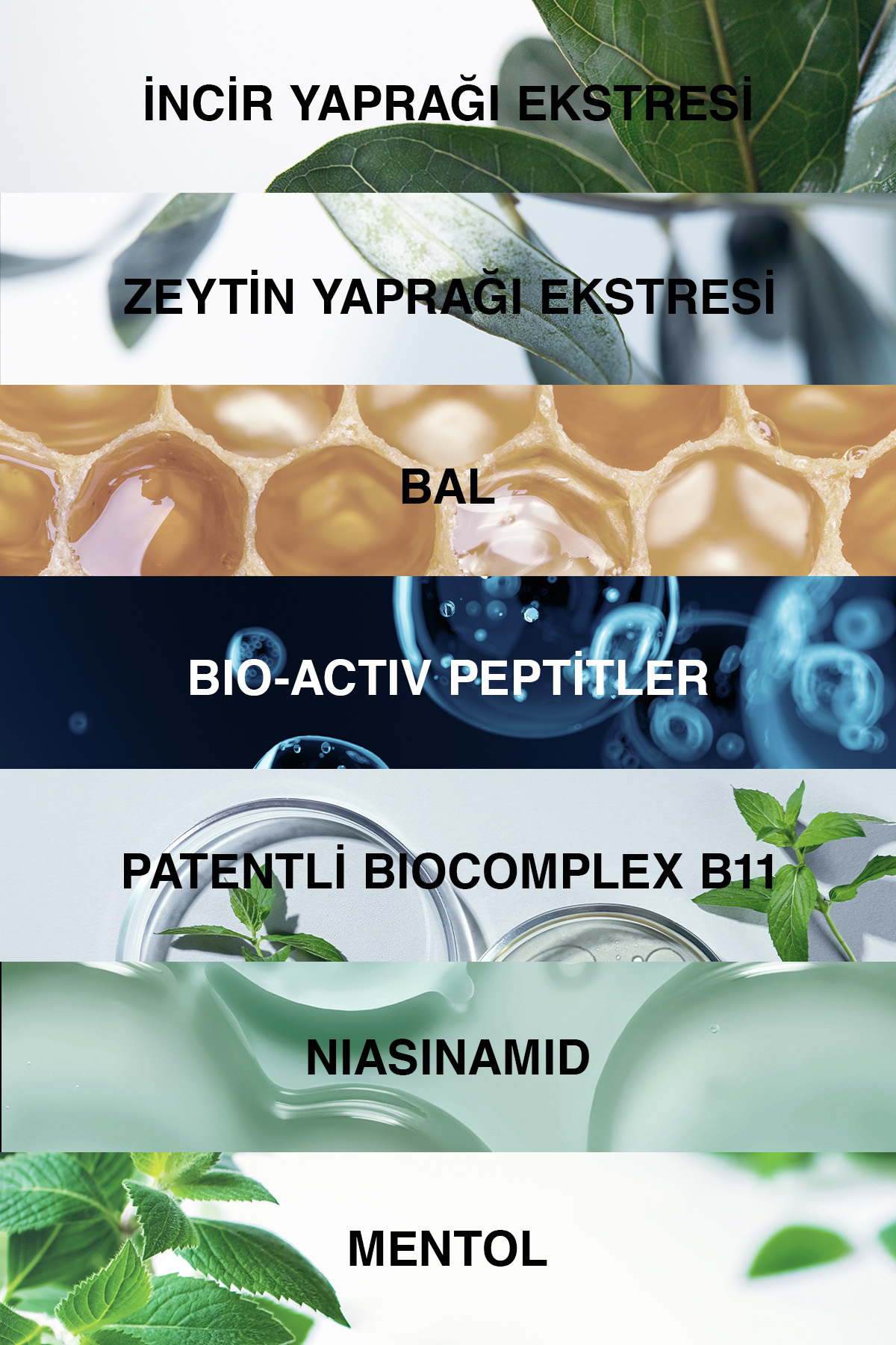 Klasik Yağlı Saçlar Için Şampuan 300 Ml - Genesis Saç Dökülmesi Şampuanı Yağlı Saç