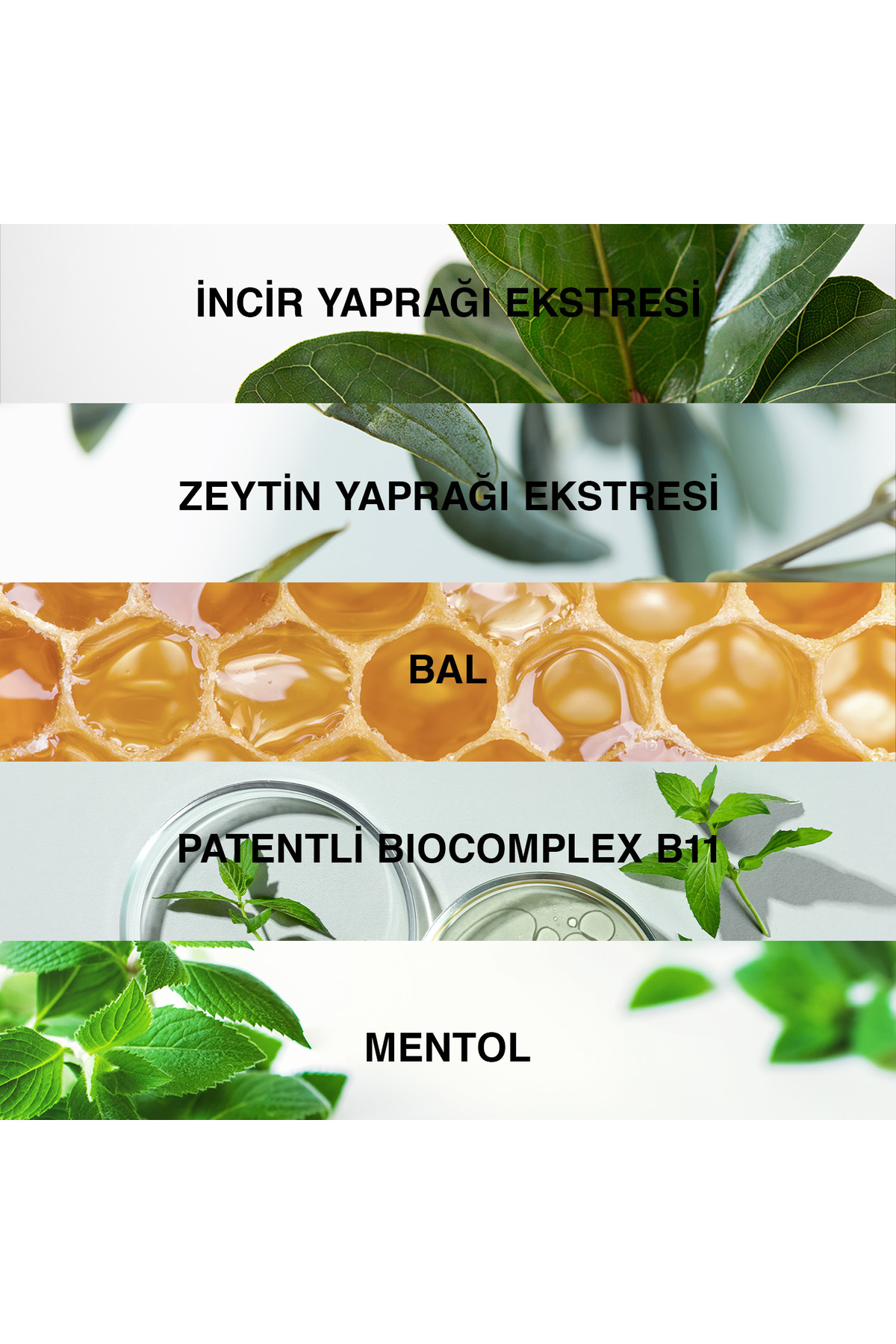 Genesis Kuru ve Normal Saçlar İçin Şampuan 300ml