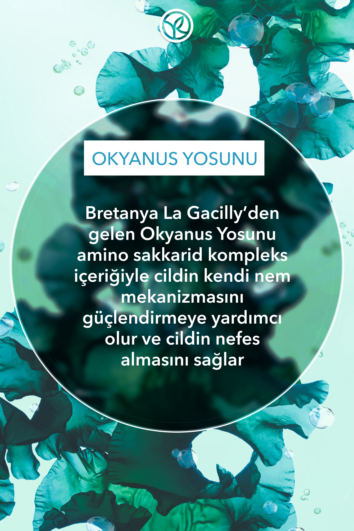 Antioksidan Yüz Yıkama Jeli-Normal ve Kuru Cilt-Pure Algue Nemlendirici  Botanik Kompleks 390ml
