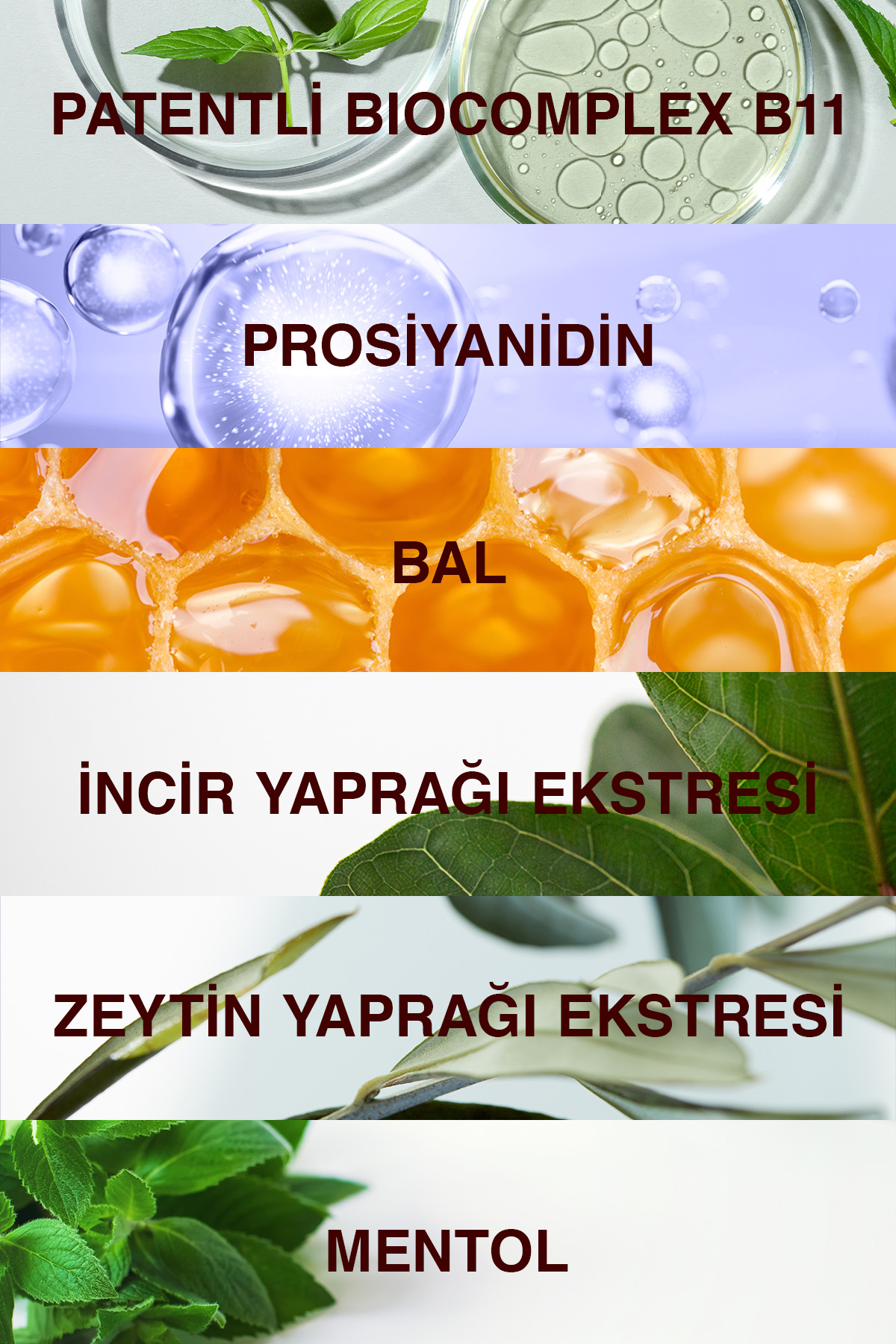Forte Şampuan Tüm Saç Tipleri Için 3x300ml - Yoğun Dökülme Şampuanı Avantajlı Paket